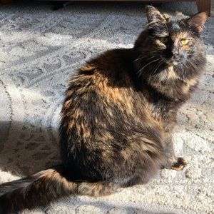 Meet your Posher, Kelly